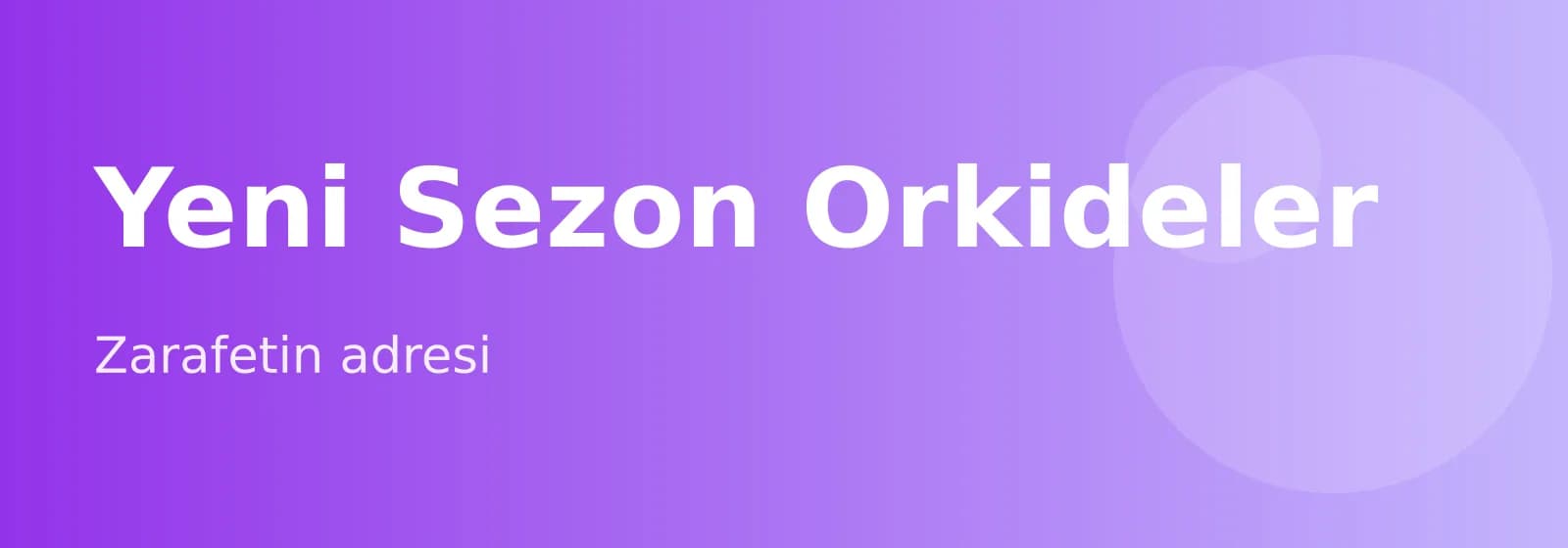 Yeni Sezon Orkideler