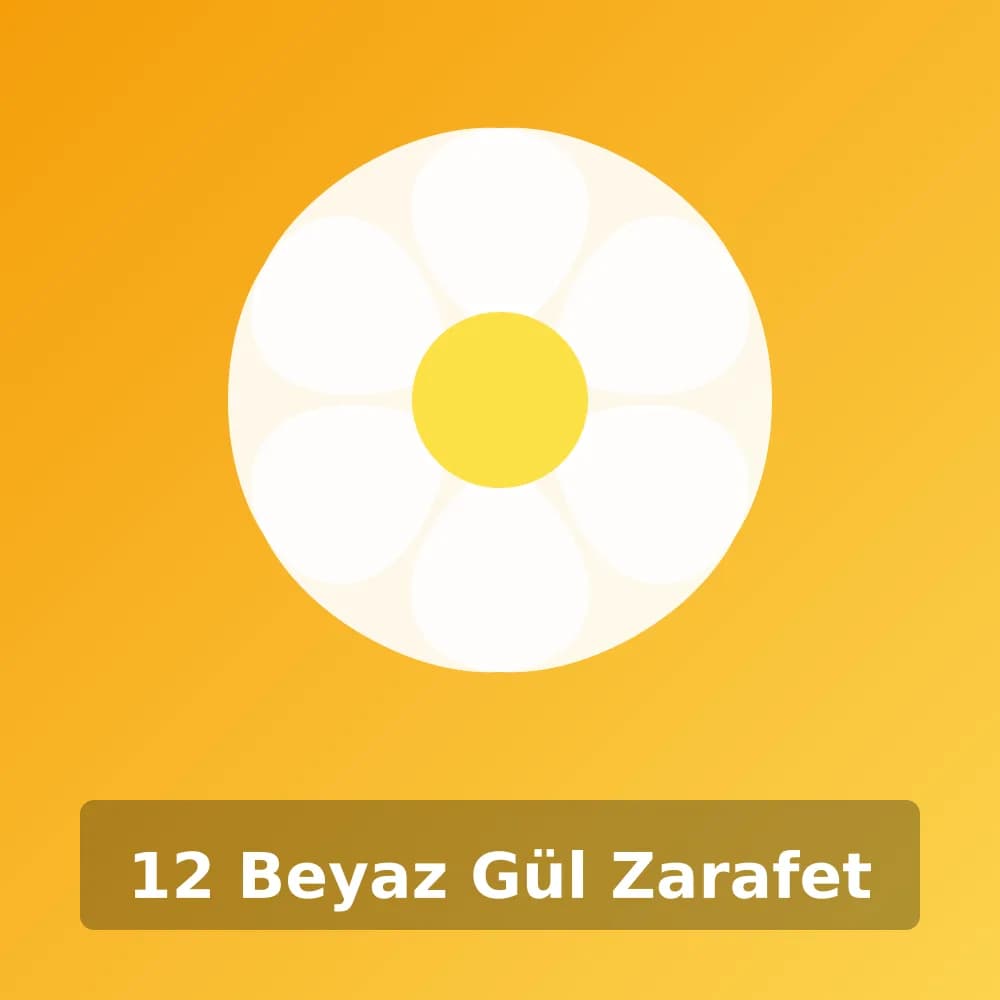 12 Beyaz Gül Zarafet