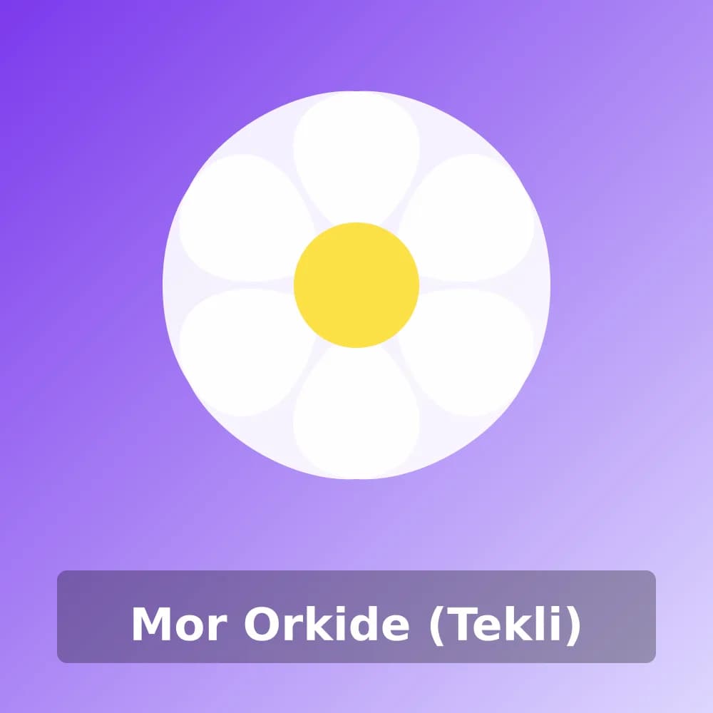 Mor Orkide (Tekli)