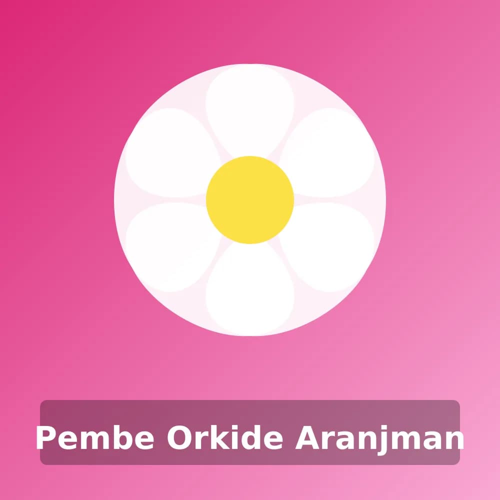 Pembe Orkide Aranjman