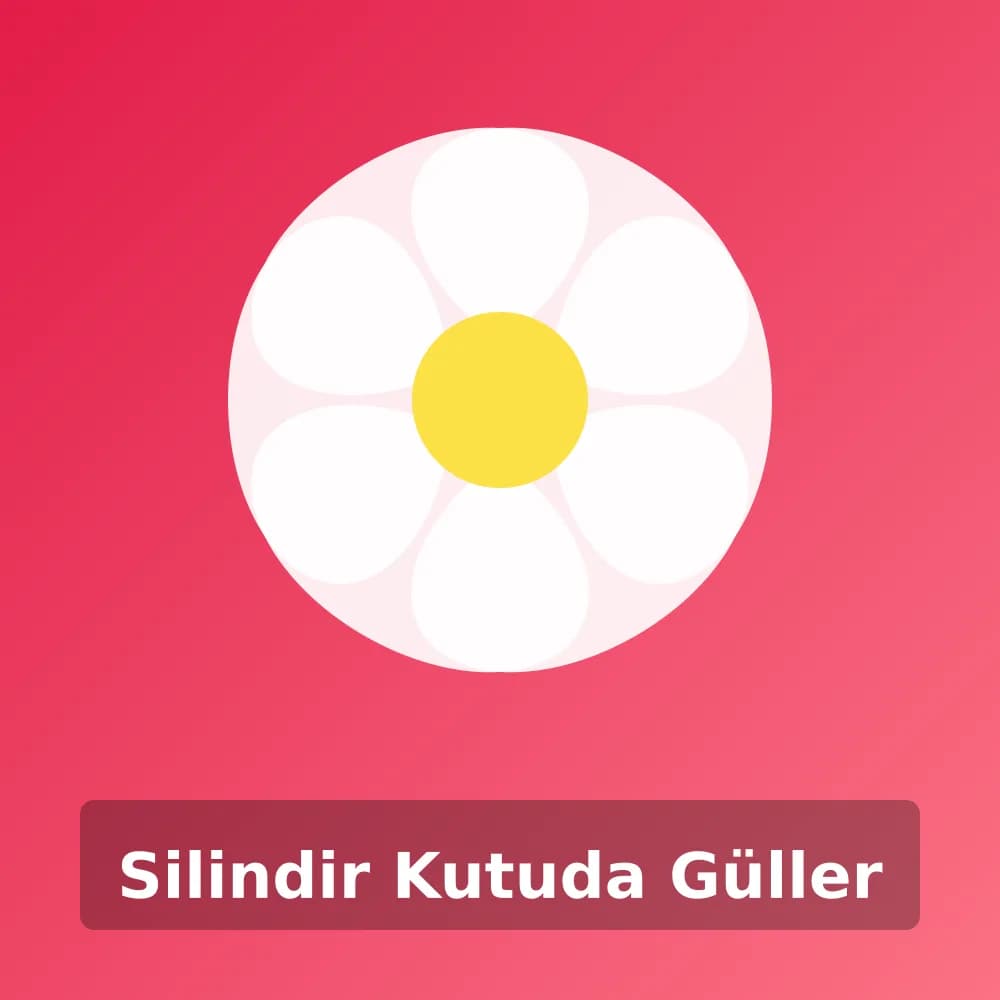 Silindir Kutuda Güller