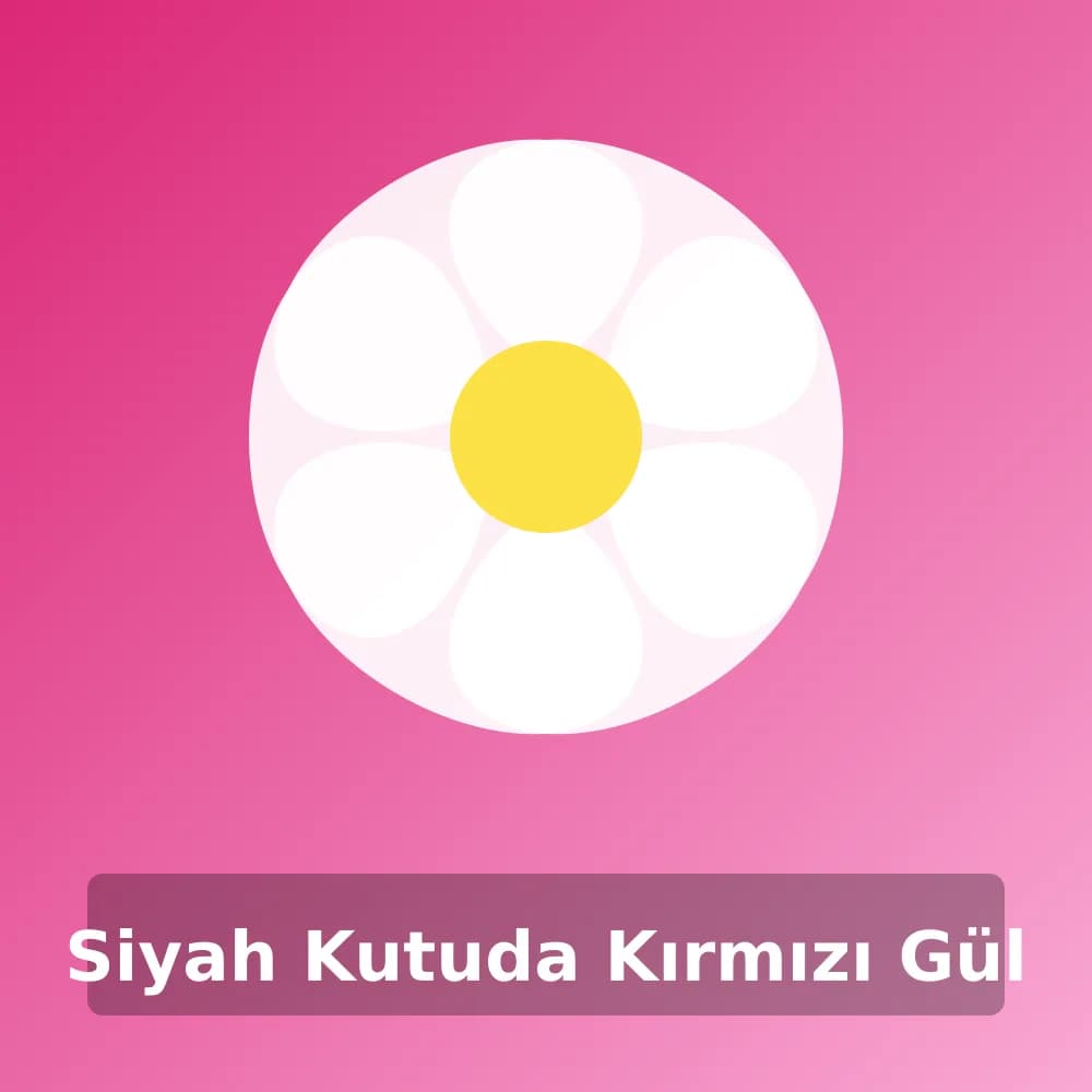 Siyah Kutuda Kırmızı Gül