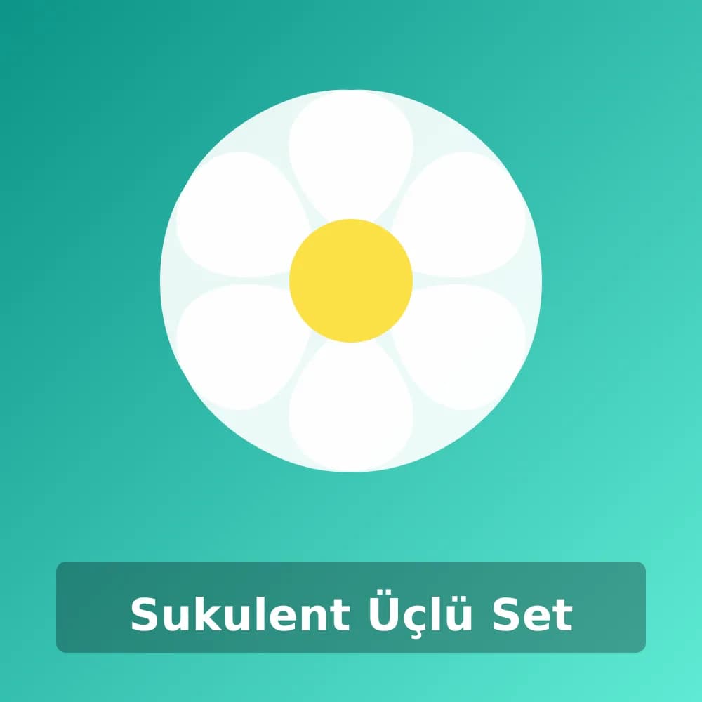 Sukulent Üçlü Set