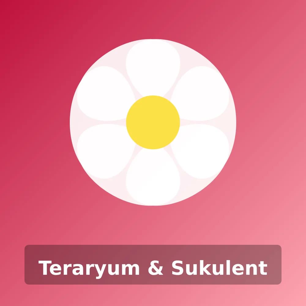 Teraryum & Sukulent